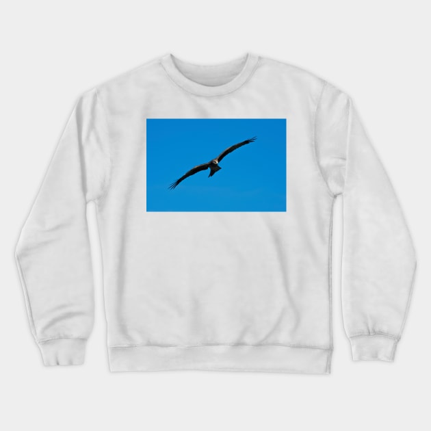 Black Kite Crewneck Sweatshirt by GP1746